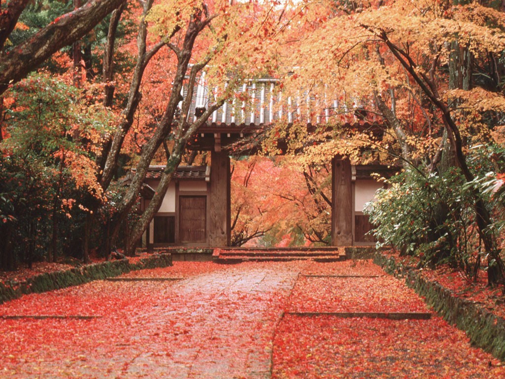Image result for japan autumn