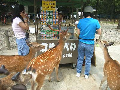 senbei stand