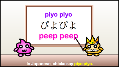 piyo piyo