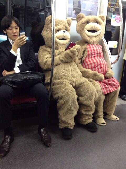 bears on train