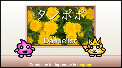 tanpopo