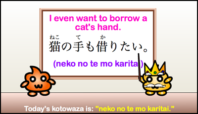 neko no te