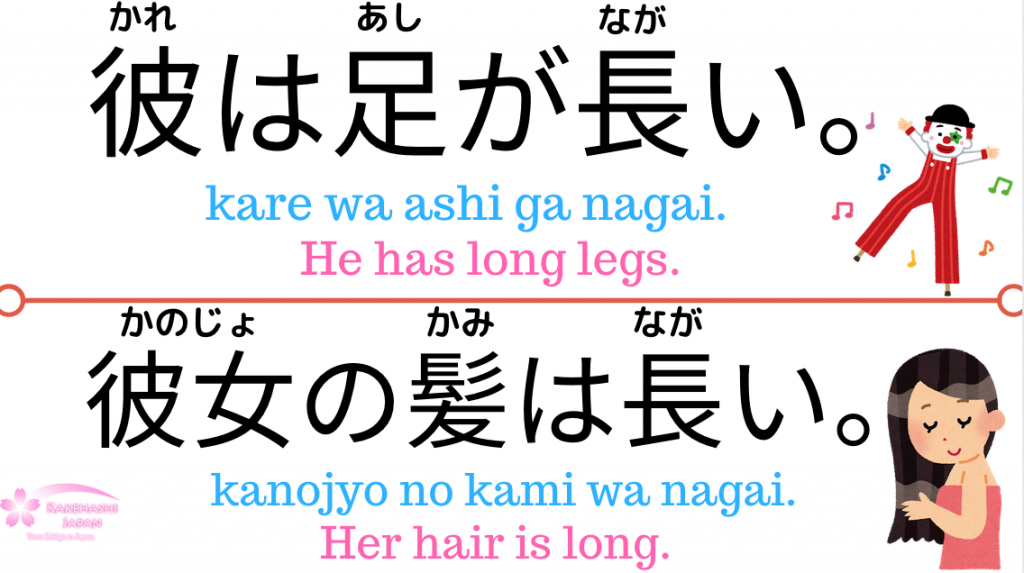 Japanese Grammar PuniPuniJapan Part 6